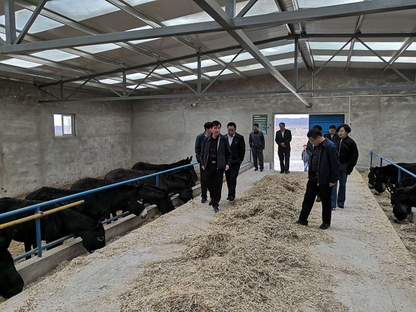 201911291574992930532260.jpg 白銀平川區(qū)2.jpg