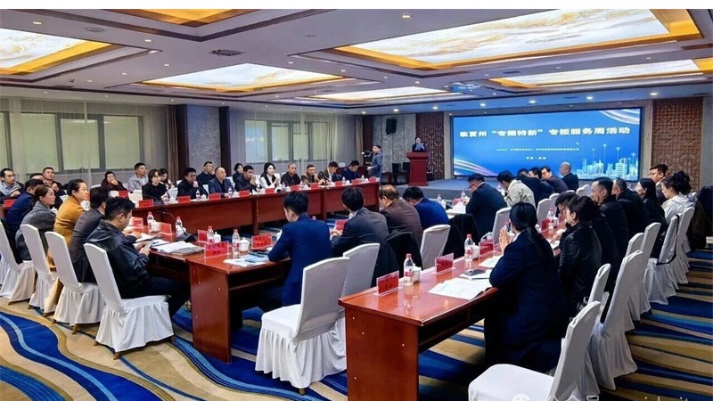 企業(yè)動(dòng)態(tài) | 精準(zhǔn)服務(wù)賦能企業(yè) 資本對(duì)接助力發(fā)展 ——甘肅股權(quán)交易中心舉辦臨夏州“專精特新”專板服務(wù)周活動(dòng)